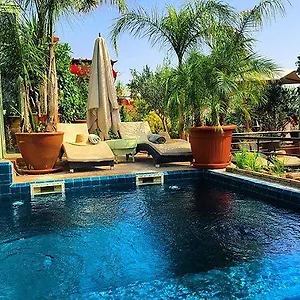 Moullaoud **** Marrakesh